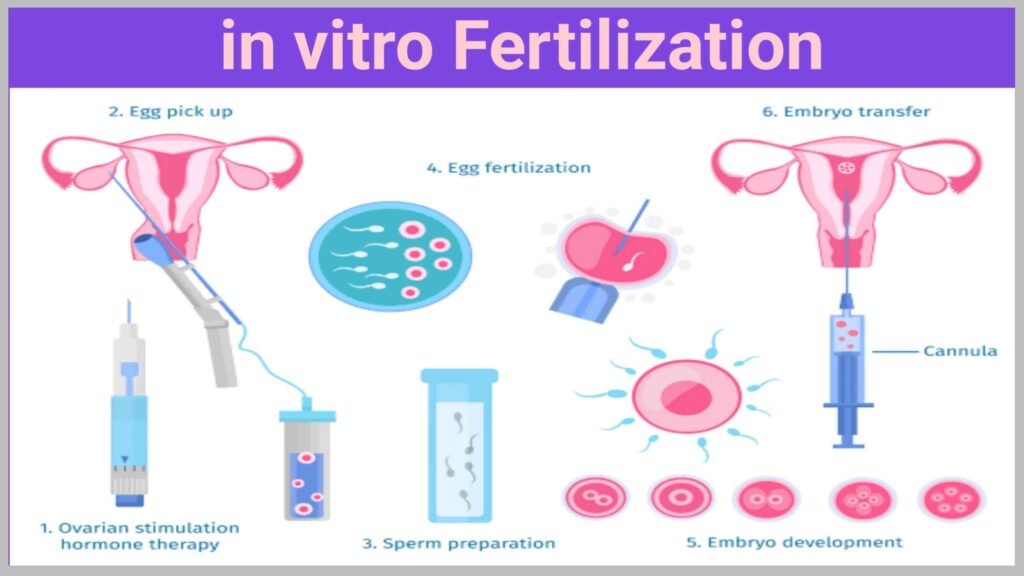Integrating Techniques to Achieve Maximum Fertility Monitoring Success