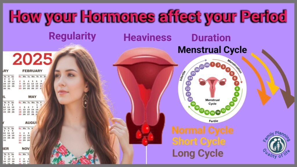 How Your Hormones Affect Your Period