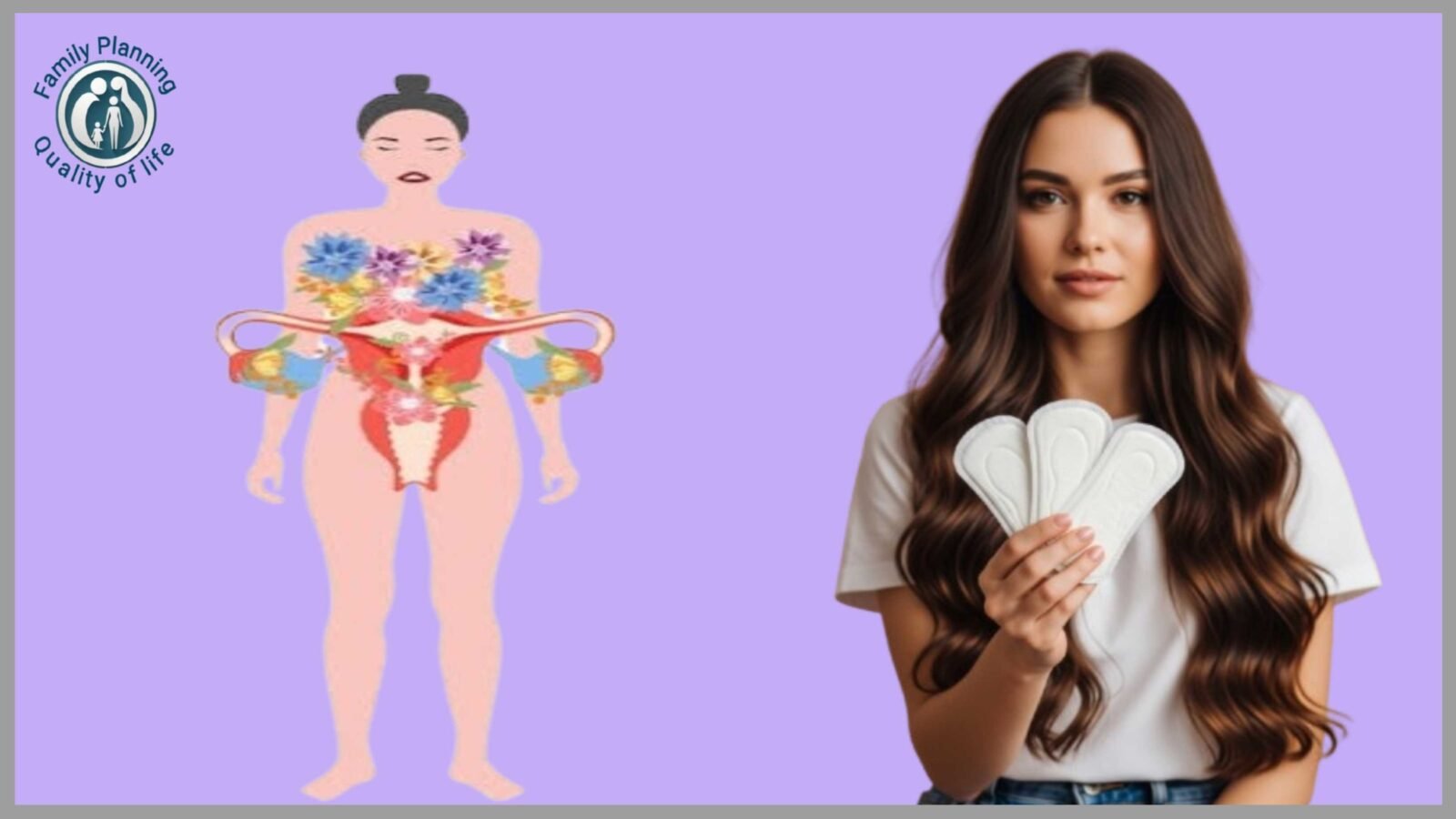 Menstrual Cycle