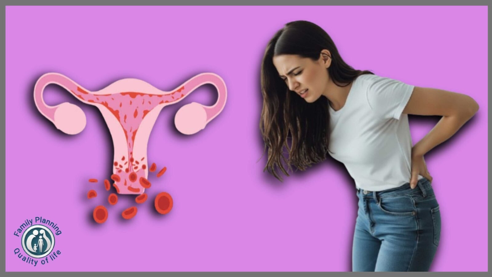 Menstrual Cycle