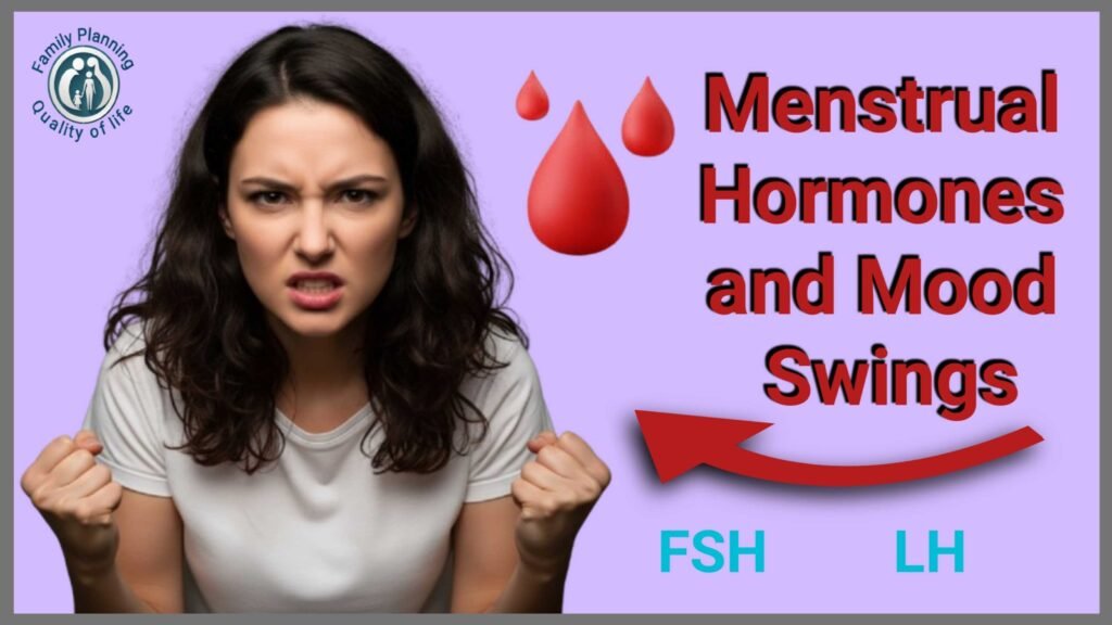 Menstrual Hormones and Mood Swings